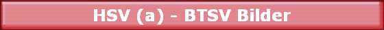 HSV (a) - BTSV Bilder